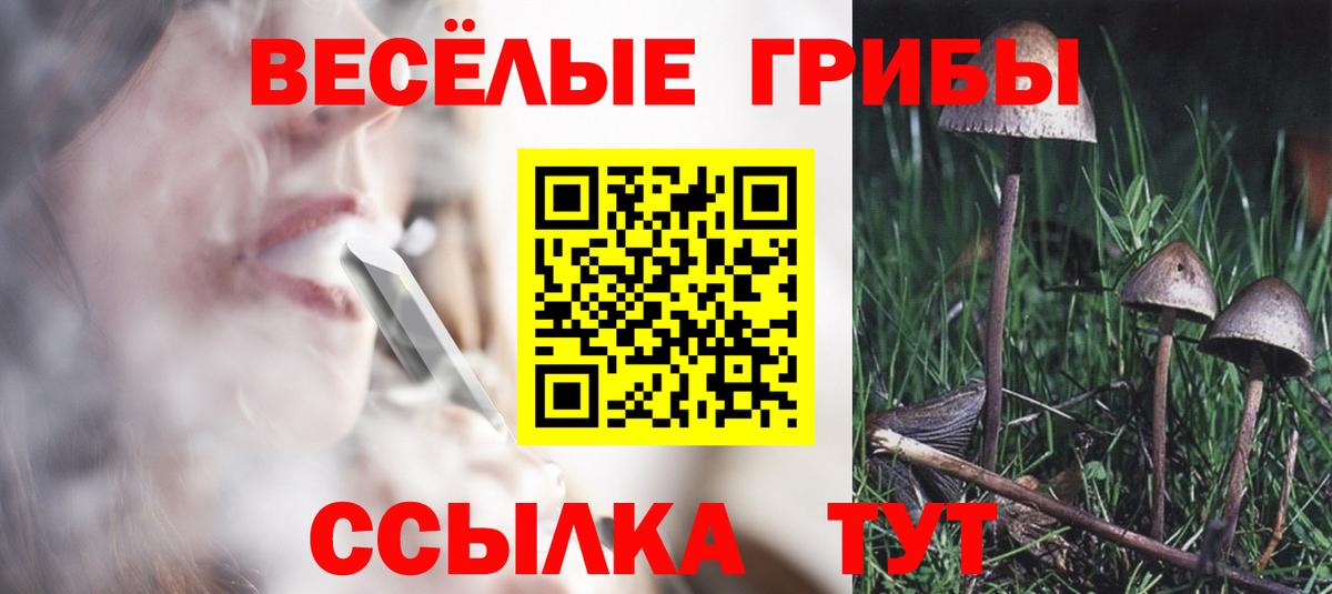 Псилоцибиновые грибы Magic Shrooms Урай