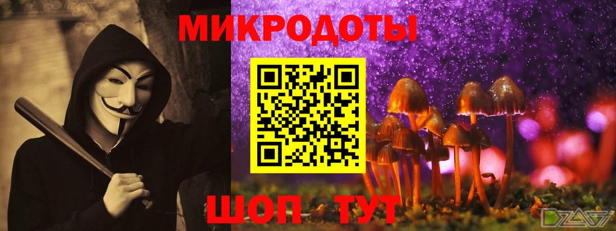 Галлюциногенные грибы Psilocybe  Вход с VPN  Урай 